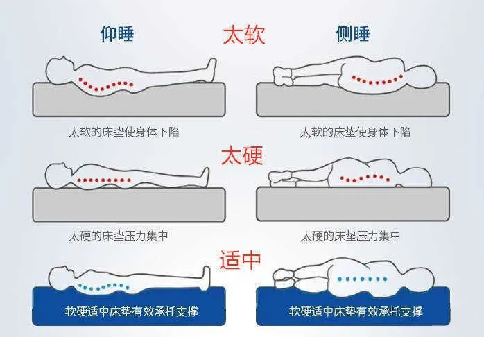 1622273702177744.jpg 床墊貼合度